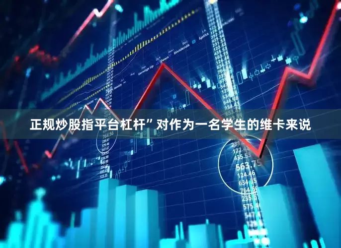 正规炒股指平台杠杆”对作为一名学生的维卡来说