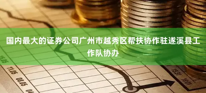 国内最大的证券公司广州市越秀区帮扶协作驻遂溪县工作队协办