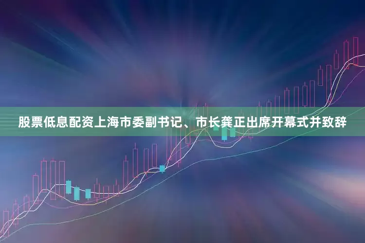 股票低息配资上海市委副书记、市长龚正出席开幕式并致辞